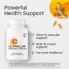 UltraCur Curcumin Complex Supplement - Ultra Bioavailable High Absorption Turmeric Curcumin Supplement for Joint, Muscle & Brain Support - Patented Protisorb for Premium Absorption  120 Capsules view 4