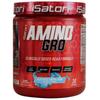 iSatori Amino-GRO BCAA Powder, Branched Chain Amino Acids with Glutamine, Electrolyte Powder & Bio-GRO Bio-Active Peptides for Muscle Growth & Post Workout Recovery, Blue Razz Snow Cone (30 Servings) view 1