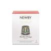 Rooibos & Orange Herbal Tea 15 Pyramid Infusers Smooth & Citrusy by Newby Teas view 1