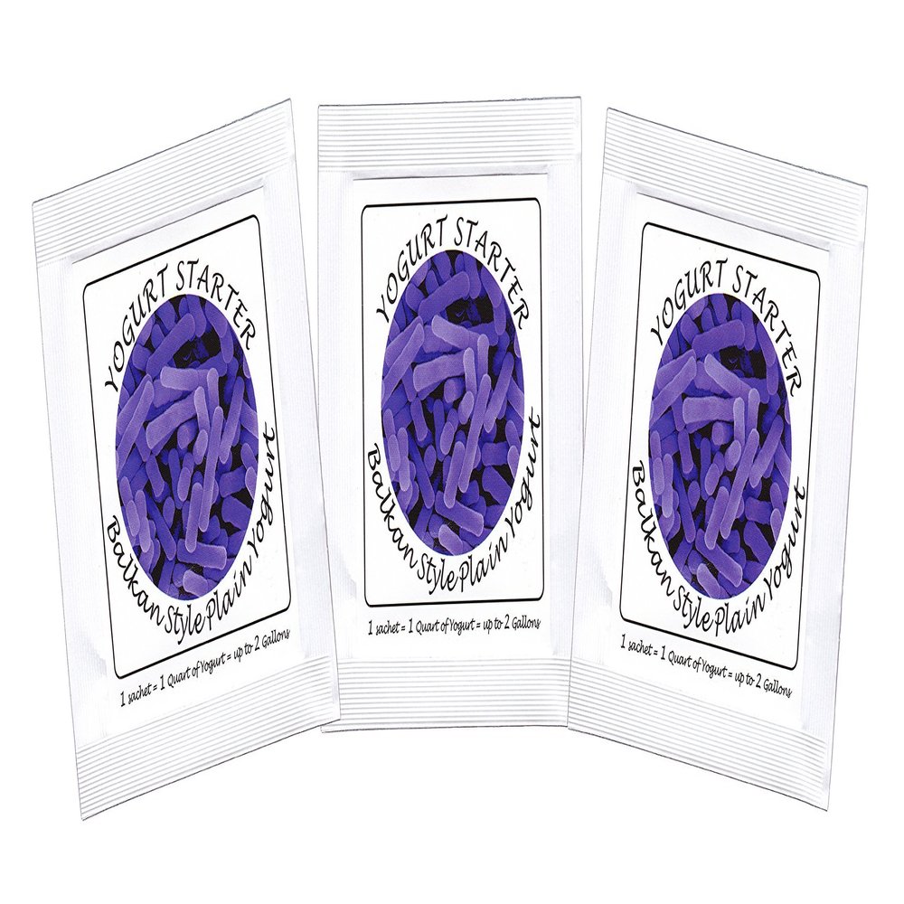 Yogurt Starter Cultures - Pack of 3 Freeze-dried Culture Sachets for Balkan Style Plain Yogurt