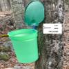 Liberty Supply 3-Pack of Plastic Sap Buckets with Lids - for Making Maple Syrup view 2