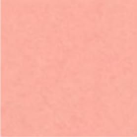 NT Rasha 4.1 oz (116 g) Square Meter A3 Size 500 Sheets Beni Salmon