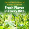 DEL MONTE FRESH CUT HARVEST SELECTS Sweet White Whole Kernel Corn, Canned Vegetables, 12 Pack, 15.25 oz Can view 3