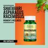 Morpheme Remedies Shatavari Asparagus Racemous Extract Veg Capsules (500 mg, 60 Cap) view 4