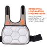 Cooling Vest with 2 Ice Packs, Instant Cooling Relief, Flexible Design, Ergodyne Chill Its 6230,Khaki,L/XL view 2