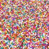 Rainbow Sprinkles - 1.6 Pounds - Chistmas Baking Toppings - Colorful Rainbow Jimmies for Cake Decorating, Baking, Cupcakes, Cookies view 2
