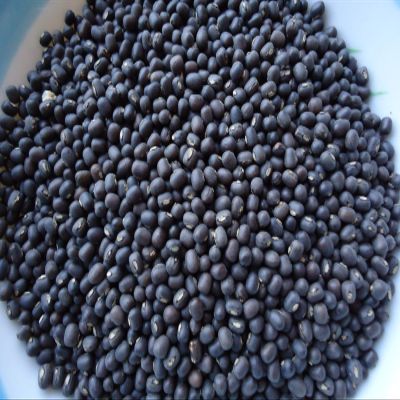 Black Gram Whole (Urad Whole) - 4 Lbs - 1 Pack