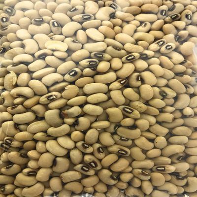 Black Eyed Peas - 4 Lbs - 1 Pack