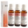 Dr.Reckeweg Germany R11 Rheuma Drops Pack Of 3 by Dr. Reckeweg view 1