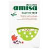 Amisa Organic Gluten Free Fruity Oat Muesli - 325g view 1