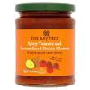 The Bay Tree Spicy Tomato & Caramelised Onion Chutney - 285g view 1