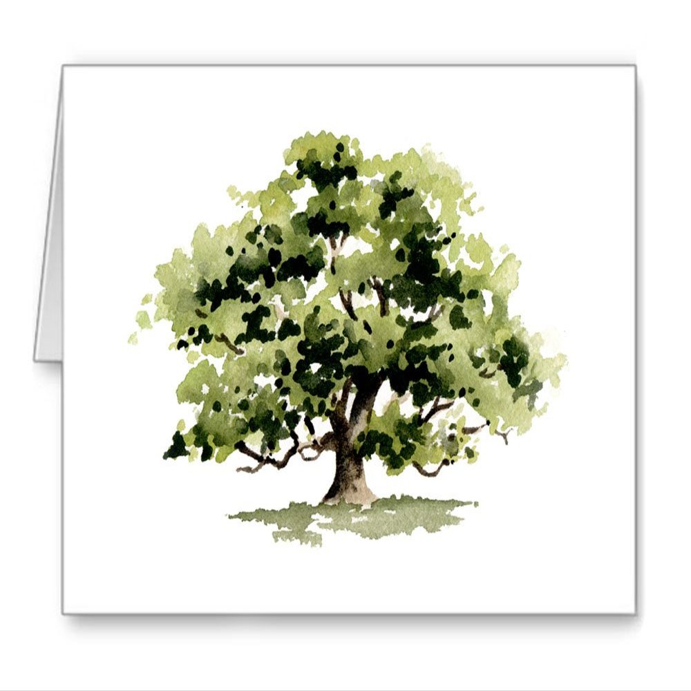 DJ Rogers Fine Art Oak Tree - Set of 10 Note Cards With Envelopes