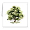 DJ Rogers Fine Art Oak Tree - Set of 10 Note Cards With Envelopes view 1