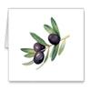 DJ Rogers Fine Art Olive Branch - Set of 10 Note Cards With Envelopes view 1