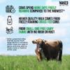 NAKED Vanilla Whey Protein Powder - All Natural Grass Fed Whey Protein Powder, Vanilla Flavor, Organic Coconut Sugar, 5Lb Bulk, GMO-Free, Soy Free, Gluten Free - 61 Servings view 2