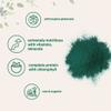 Micro Ingredients Organic Spirulina Powder, 1lb | Blue-Green Algae, Rich in Vegan Protein, Vitamins & Minerals | Source of Natural Chlorophyll & Enzymes | Non-GMO, Gluten-Free, No Additives view 3
