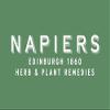 Napiers Urinary Infection Home Test Kit view 1