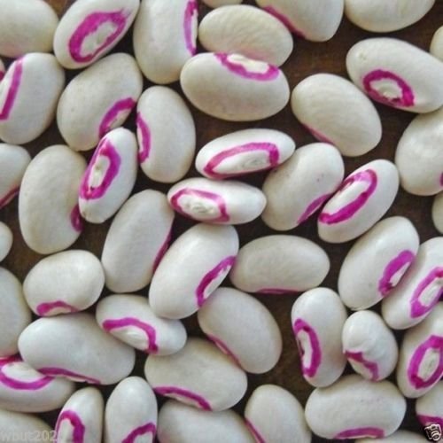 Cow-pea "Pink Eyed Purple Hulled (200 Seeds) A.K.a Southern Peas ,Organic