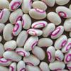 Cow-pea "Pink Eyed Purple Hulled (200 Seeds) A.K.a Southern Peas ,Organic view 1