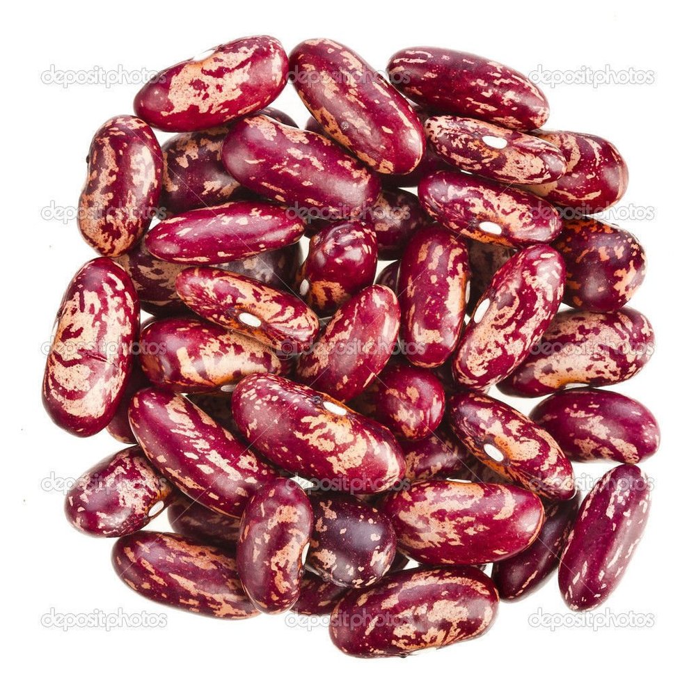 Dominican Red Speckled Kidney Beans (1/4 lb Seeds) - Habichuelas Guisadas