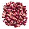 Dominican Red Speckled Kidney Beans (1/4 lb Seeds) - Habichuelas Guisadas view 1