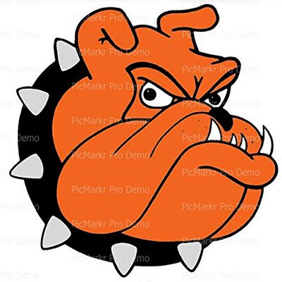 1/4 Sheet - Orange Bulldog Mascot Birthday - Edible Cake/Cupcake Topper - D20472