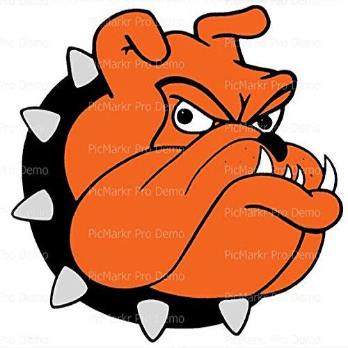 1/4 Sheet - Orange Bulldog Mascot Birthday - Edible Cake/Cupcake Topper - D20472