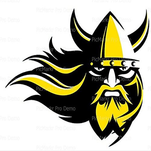 1/4 Sheet - Viking Mascot Birthday - Edible Cake/Cupcake Party Topper - D20517