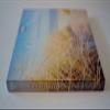 Oceanside Soothing Music & Gentle Waves Relaxation Spa Meditation 2 Disk CD Set view 3