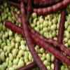 2 ozs Speckled Purplehull (Southern) Peas,Great Flavor, Shell pea view 1