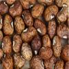 2 ozs Speckled Purplehull (Southern) Peas,Great Flavor, Shell pea view 2