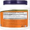 Now Foods Probiotic-10 25 Billion, 100 Count (Pack of 2) view 2