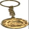 24 Hours AA Serenity Prayer Medallion Keychain Chip Holder Gold Plated view 1
