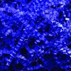 Box USA Crinkle Paper 10 lb Royal Blue, Gift Wrapping, Holidays, Craft DIY's, Basket Filling and Decoration view 1