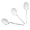 1000 Count Medium Weight White Plastic Soup Spoons Bulk Plastic Silverware For Parties, Weddings, Catering, Take out Single-Use Soup Spoon view 2