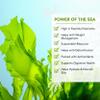 VITAMINSEA Sea Lettuce Dried Seaweed | Wild North Atlantic Seaweed for Snacking, Seasoning, Soups & Salads | Rich in Vitamins, Minerals, Aminos & Antioxidants Great for Thyroid Support | Flakes (4 oz) view 4