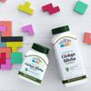 21st Century Ginkgo Biloba Extract 60 Ct (2 Pack) view 4