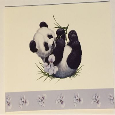 (5) Endangered Young'uns Panda Blank Note Cards - 4 x 5.5 inches