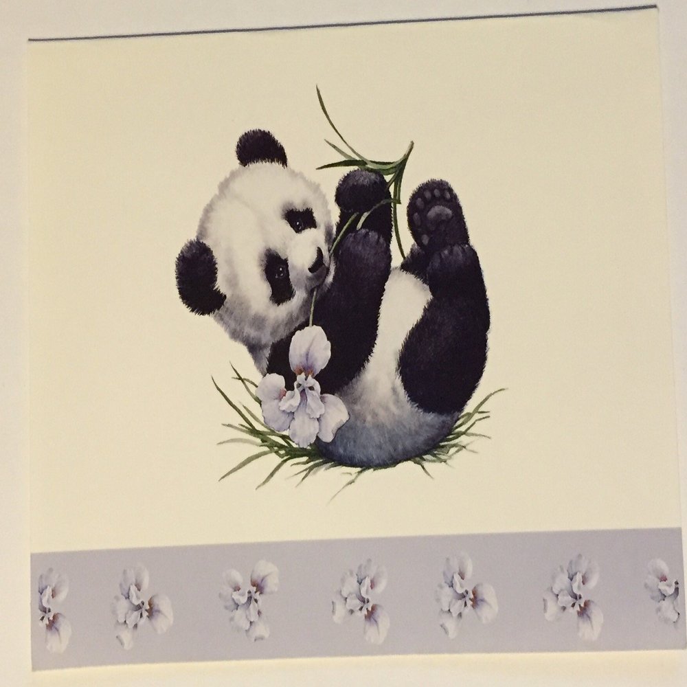 (5) Endangered Young'uns Panda Blank Note Cards - 4 x 5.5 inches