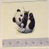 (5) Endangered Young'uns Panda Blank Note Cards - 4 x 5.5 inches view 1