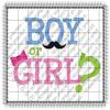 1/8 Sheet - Boy or Girl? Baby Shower - Edible Cake/Cupcake Party Topper - D455 view 1