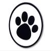 1-1/2" Diameter Clear Seals with a Black paw Print and Border are Perfect for All pet Lovers, 1.5" Round, 250 Pack by A1 bakery supplies Made in USA view 1