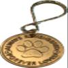 Personalized Pet Name Memorial Keychain Engraved Always Remembered Forever Loved Token view 3