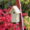 Ronseal - Garden Paint Warm Stone 250ml view 3