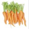 Organic Carrots, Locally Grown, 2 Bunches view 1