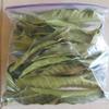 Artistic Solutions Organic Mangifera indica Dried Dry Mango Leaves Leaf forTea 50g (approx 35-45 Leaves) view 2