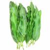 Artistic Solutions Organic Mangifera indica Dried Dry Mango Leaves Leaf forTea 50g (approx 35-45 Leaves) view 3