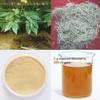 additive-Free panax Ginseng Root Extract Capsule,400Mg * 100Capsules, 80% Ginsenoside view 4