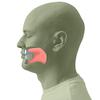 Nose Breathe Trainer - Experience The Benefits of Nasal Breathing - Correct Tongue Placement, Tongue Position at The Roof of The Mouth, Will Stop Mouth Breathing Naturally. view 4