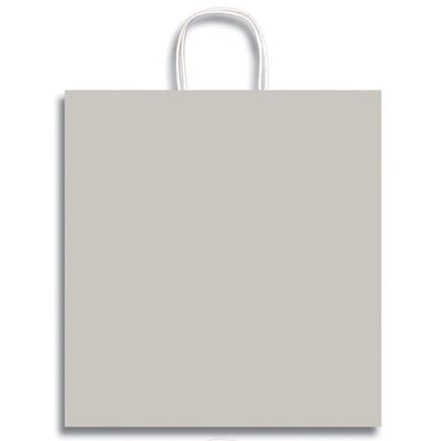 12 x 19" Jumbo Clay Coat Paper Party Supplies Favor Gift Bags with Handle (Silver)
